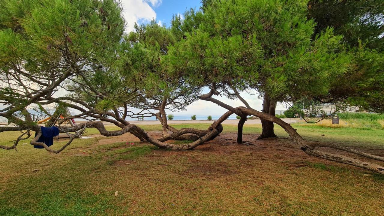 Fiesa Residence Portorož Kültér fotó