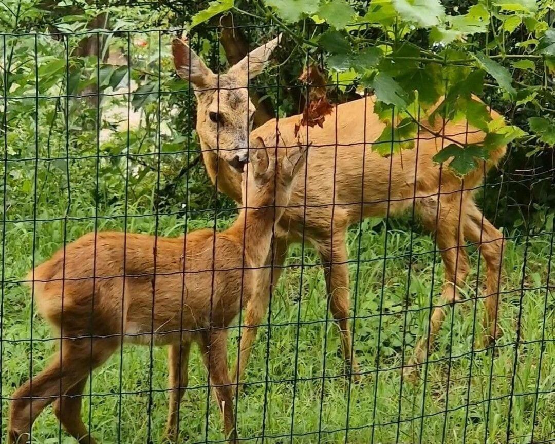 Fiesa Residence Portorož Kültér fotó